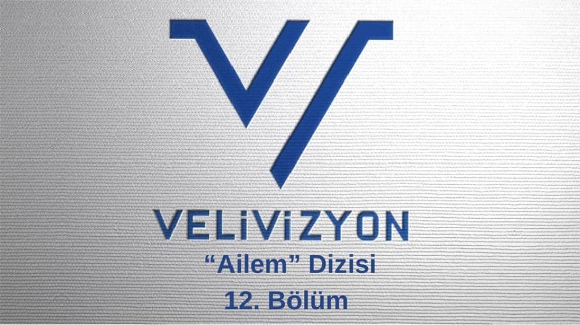 Veli Vizyon Programı 